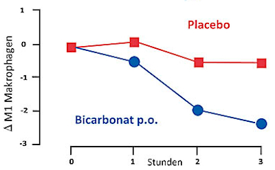 Bicarbonat reduziert Entzündungsreaktionen: M1-Makrophagen